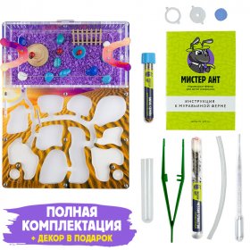 Муравьиная ферма Медиум “Закат в пустыне” (ПОЛНЫЙ КОМПЛЕКТ)