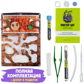 Муравьиная ферма Мини ПРО "Дерево" (ПОЛНЫЙ КОМПЛЕКТ)