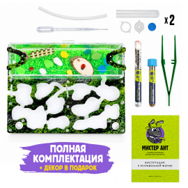 Муравьиная ферма Медиум “Горный мох” (ПОЛНЫЙ КОМПЛЕКТ)